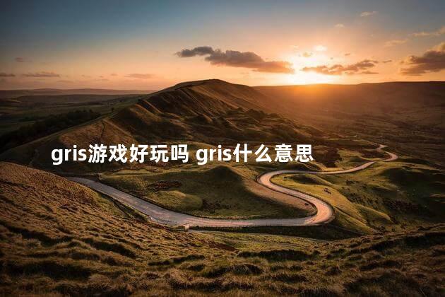 gris游戏好玩吗 gris什么意思